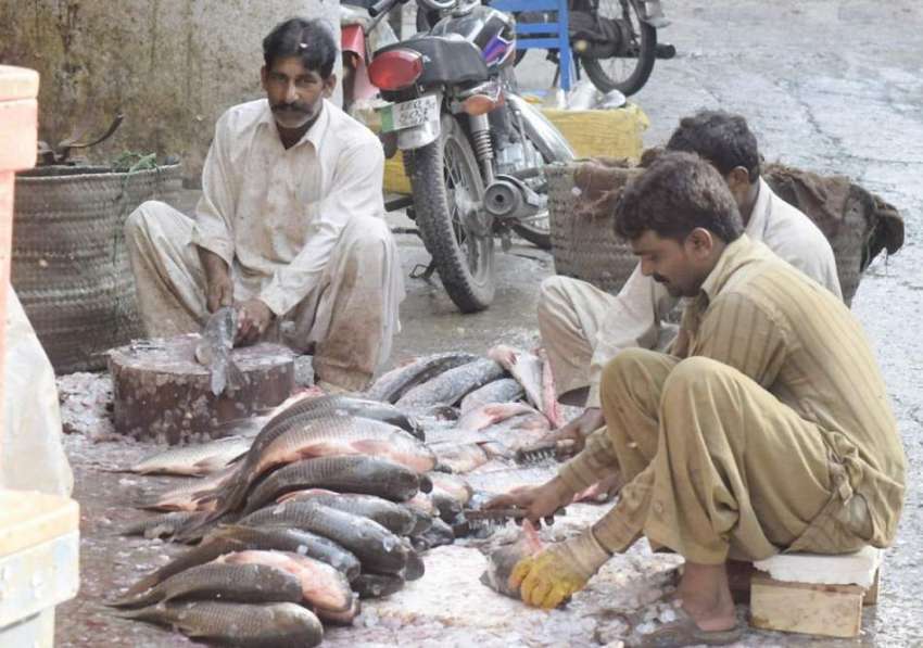 لاہور: مچھلی منڈی میں کاریگر مچھلی کی صفائی میں مصروف ہیں۔
