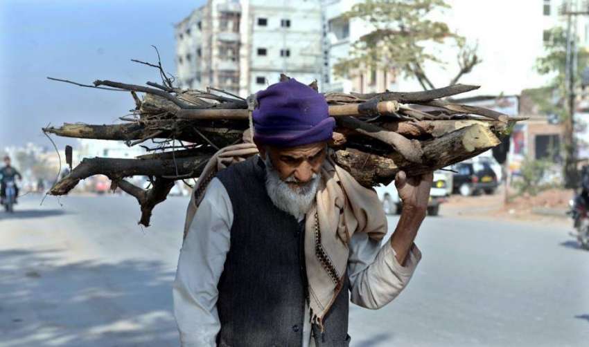 راولپنڈی: معمر شخص گھر کا چولہا جلانے کے لیے کندھوں پر لکڑیاں ..