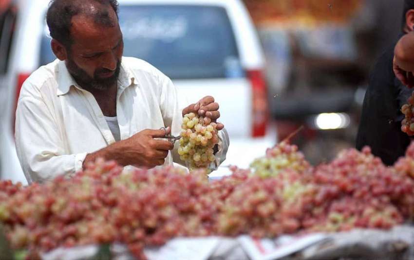 اسلام آباد: وفاقی دارالحکومت میں ریڑھی بان انگور فروخت کررہا ..