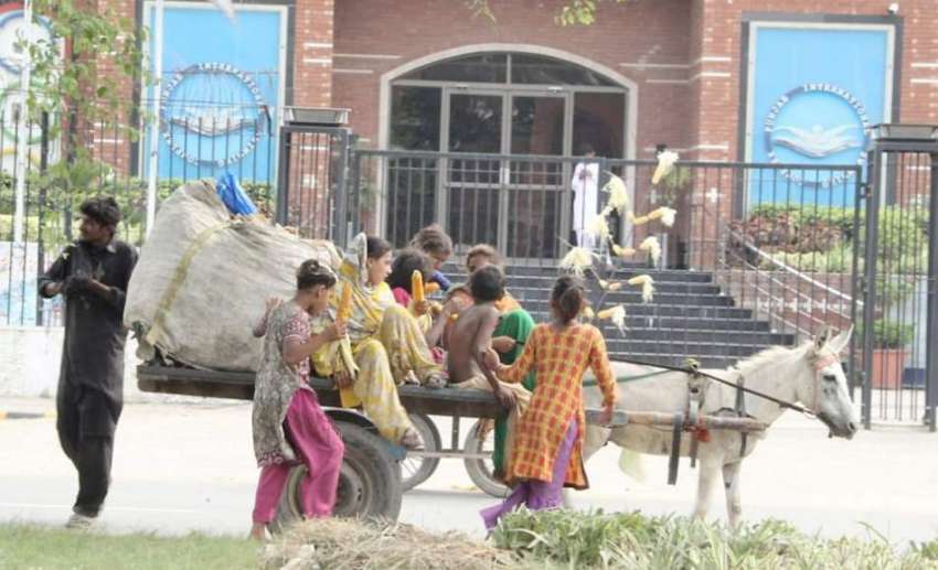 لاہور: گدھا ریڑھی پر سوار خانہ بدوش سٹے کھا رہا ہے۔