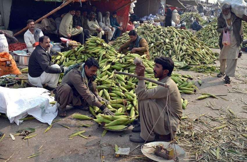 لاہور: دکاندار چھلیاں فروخت کررہا ہے۔