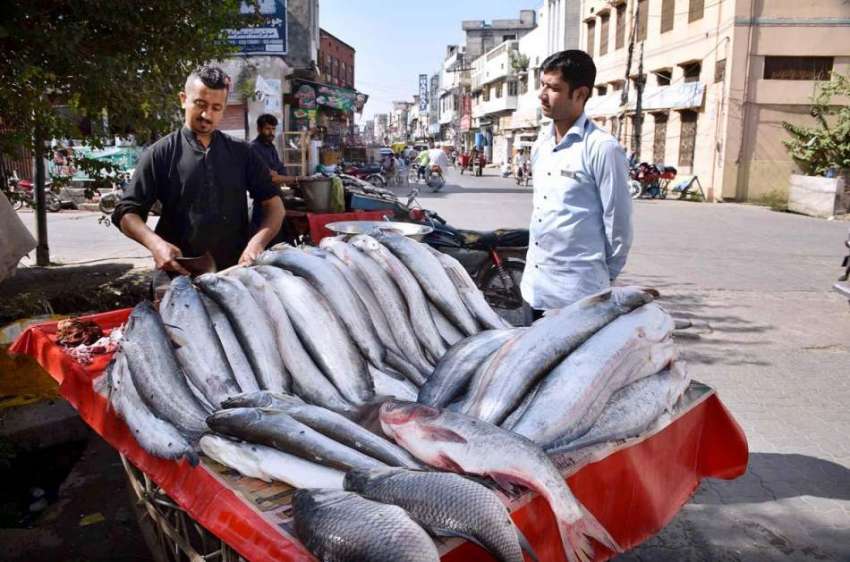 سیالکوٹ: ریڑھی بان گاہکوں کو متوجہ کرنے کے لیے مچھلی سجا ..