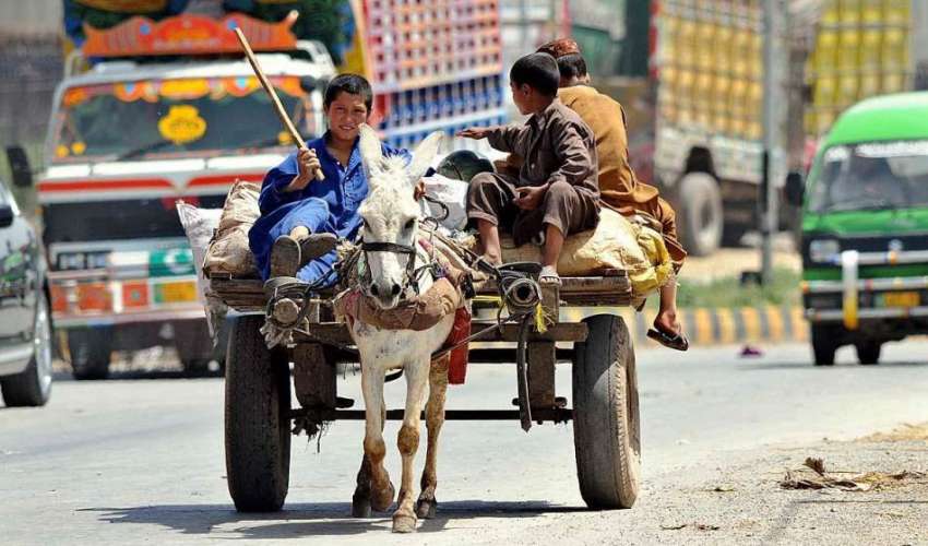 راولپنڈی: خانہ بدوش بچے کار آمد اشیاء گدھا ریڑھے پر رکھے ..