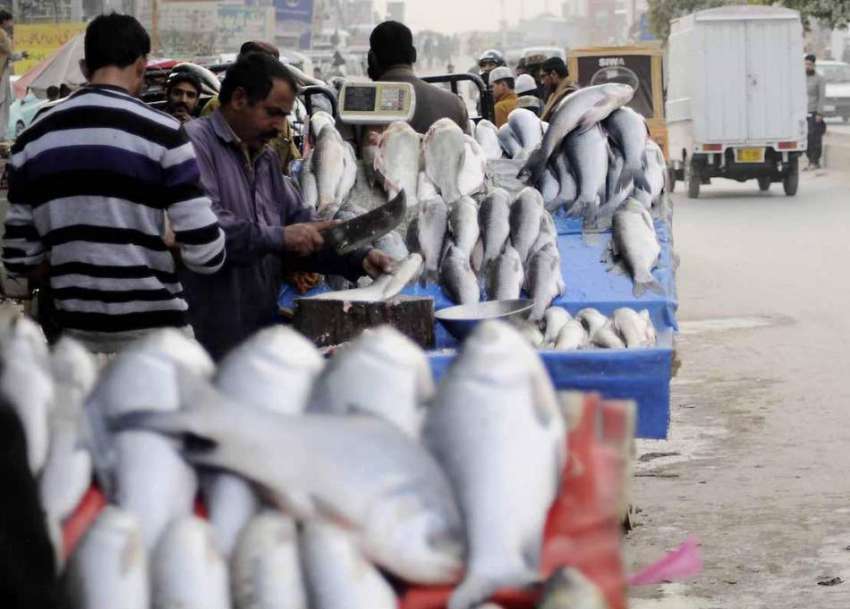 اسلام آباد: چک شہزاد روڈ کنارے محنت کش نے مچھلی فروخت کے ..