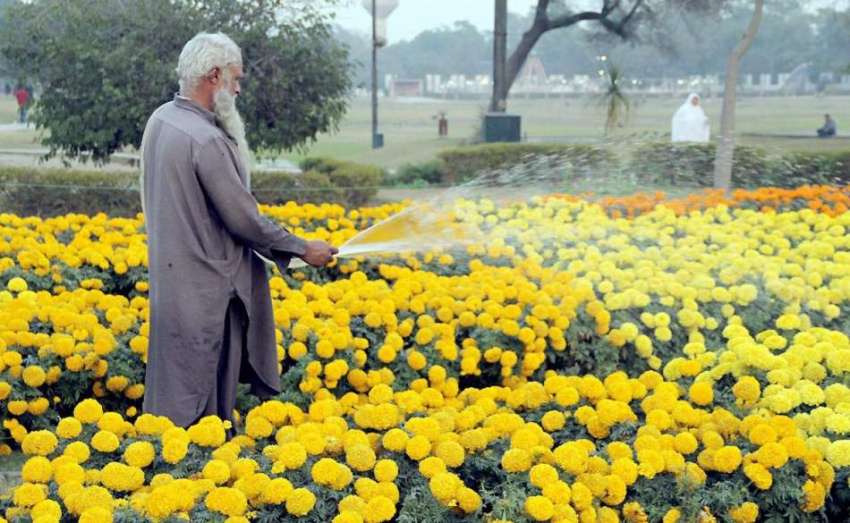 لاہور: جیلانی پارک میں پی ایچ اے کا ملازم پھولوں کو پانی ..