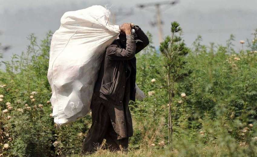 راولپنڈی: خانہ بدوش شخص کچرے کے ڈھیر سے کار آمداشیاء اٹھائے ..