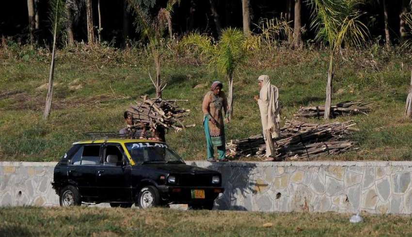 اسلام آباد: خواتین جنگل سے لکڑی کاٹ کر گاڑی پر لوڈ کر رہی ..