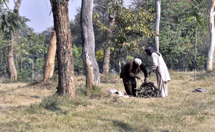 اسلام آباد: شہری چولہا جلانے کے لیے لکڑیاں اکٹھی کر رہے ہیں۔