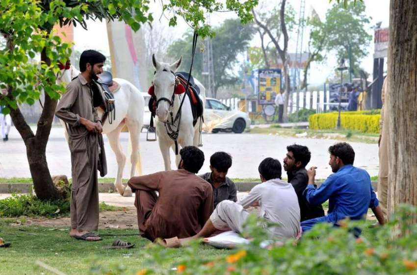 اسلام آباد: کوچوان اپنے خوبصورت گھوڑوں کو لیے سواری کے لیے ..