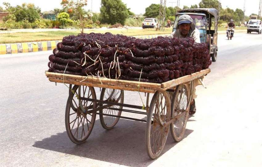 حیدر آباد: ایک ریڑھی بان چوڑیاں مارکیٹ میں سپلائی کے لیے ..