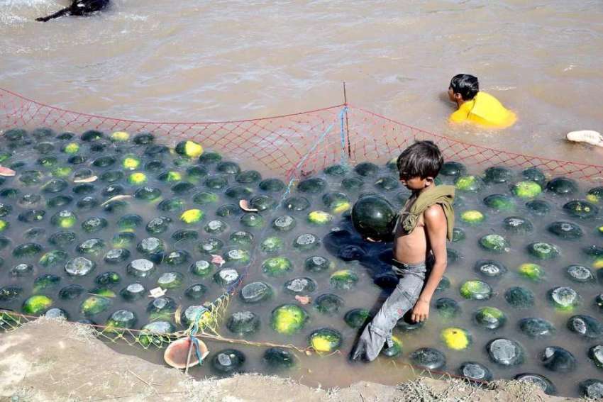 سیالکوٹ: محنت کش بچہ تربوز فروخت کے لیے نہری پانی میں ٹھنڈے ..