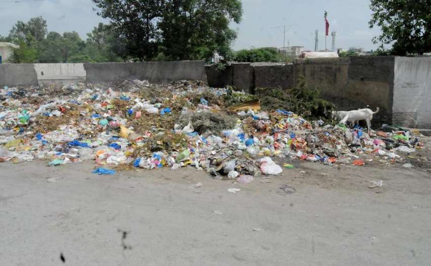 راولپنڈی: کینٹ بورڈ کی نا اہلی کے باعث گورا قبرستان کے قریب ..