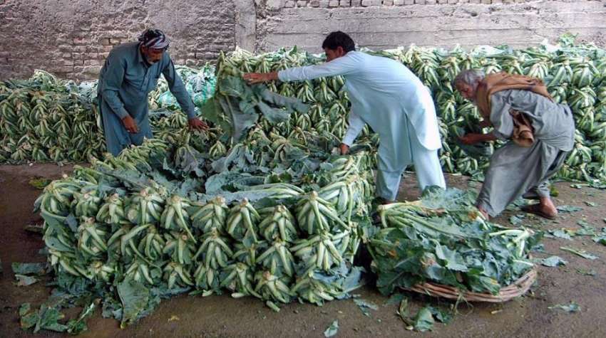اسلام آباد: دکاندار سبزی منڈی میں فروخت کے لیے سبزی ترتیب ..