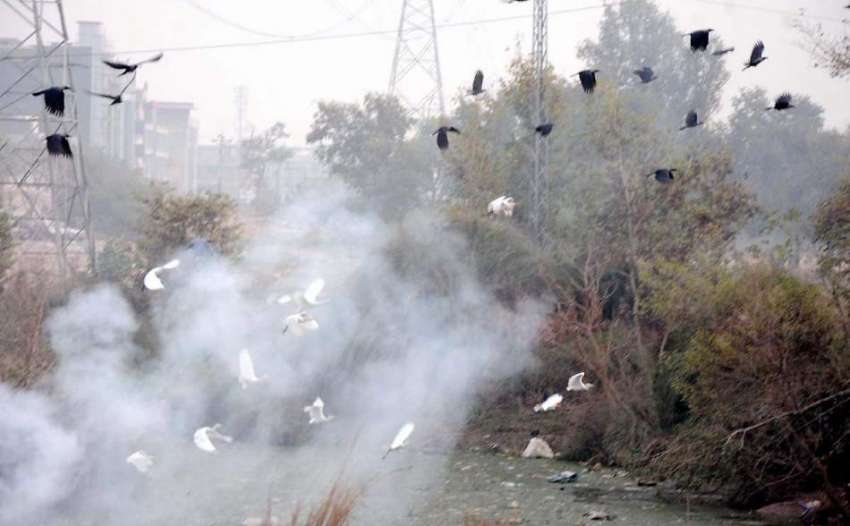 راولپنڈی: محکمہ البراق کی نا اہلی کچرے کو آگ لگائے جانے کے ..