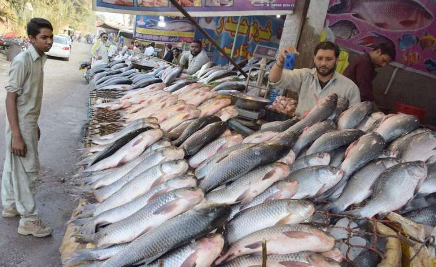 لاہور: مغلپورہ روڈ پر ایک دکاندار مچھلی کو پانی لگارہا ہے۔