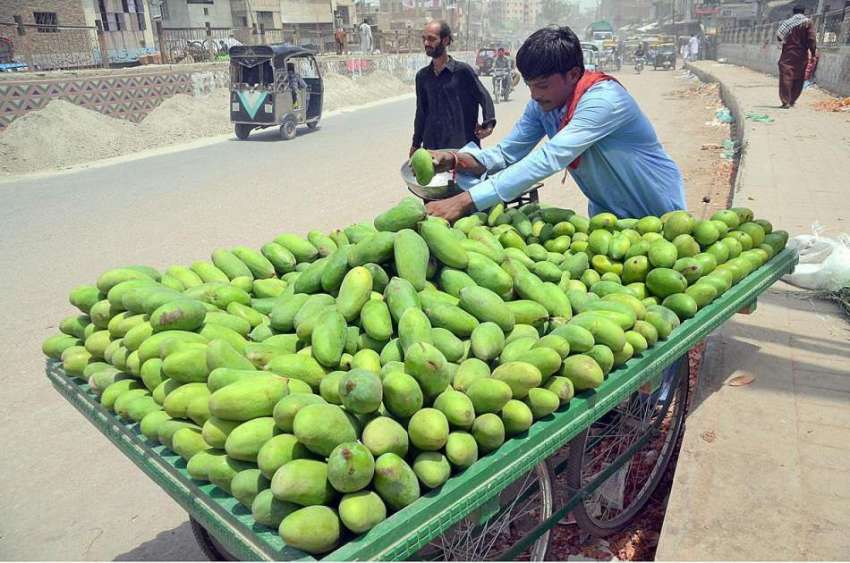 حیدر آباد: ریڑھی بان فروخت کے لیے آم سجا رہا ہے۔