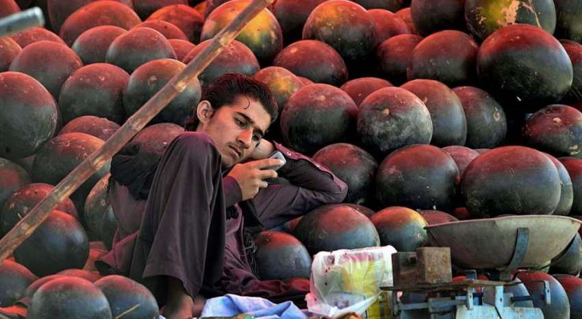 راولپنڈی: دکاندار تربوز سجائے گاہکوں کا منتظر ہے۔