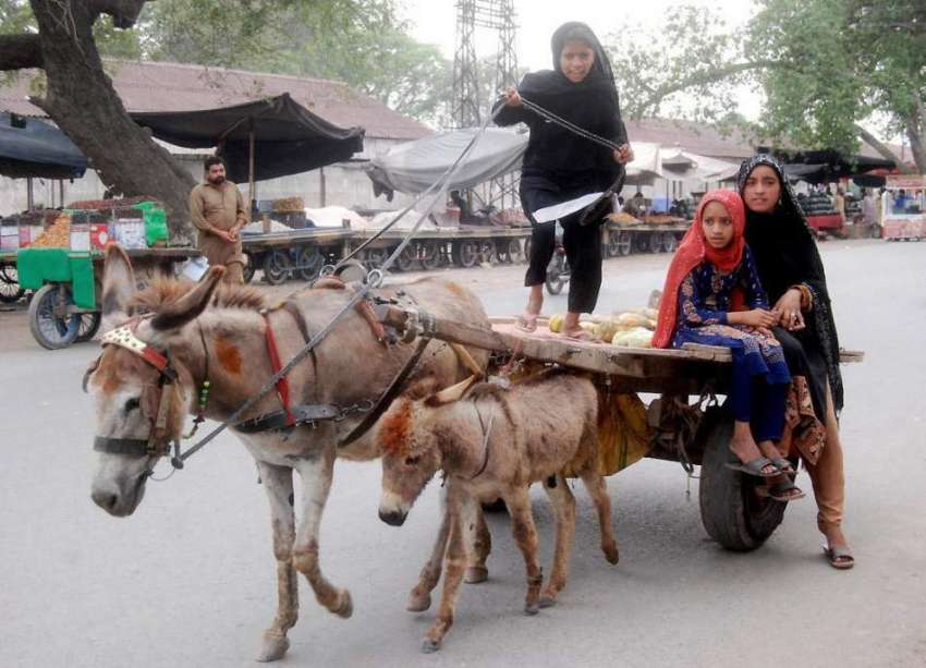 لاہور: خانہ بدوش بچیاں گدھا ریڑھی پر سوار ہو کر جا رہی ہیں۔