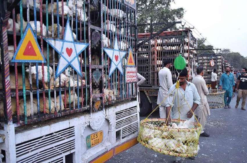 لاہور: ہول سیلروں نے دکانداروں کو متوجہ کرنے کے لیے سبزی ..