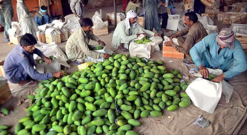 حیدر آباد: سبزی منڈی میں مزدور آم لکڑی کی پیٹیوں میں پیک ..