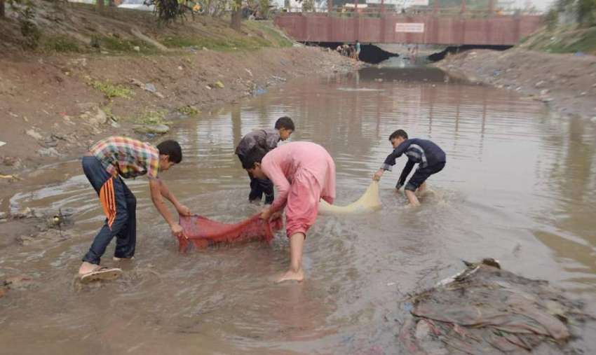 لاہور: نوجوان نہر سے مچھلیاں پکڑ رہے ہیں۔