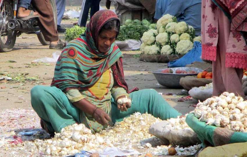 فیصل آباد: محنت کش خاتون سبزی منڈی میں بیٹھی لہسن کی صفائی ..