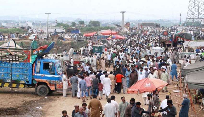 اسلام آباد: عیدالاضحی کی آمد کے موقع پر مویشی منڈی میں خریداروں ..