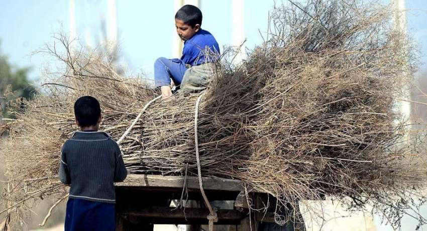 راولپنڈی: کمسن بچے گھر کا چولہا جلانے کے لیے خشک لکڑیاں گدھا ..