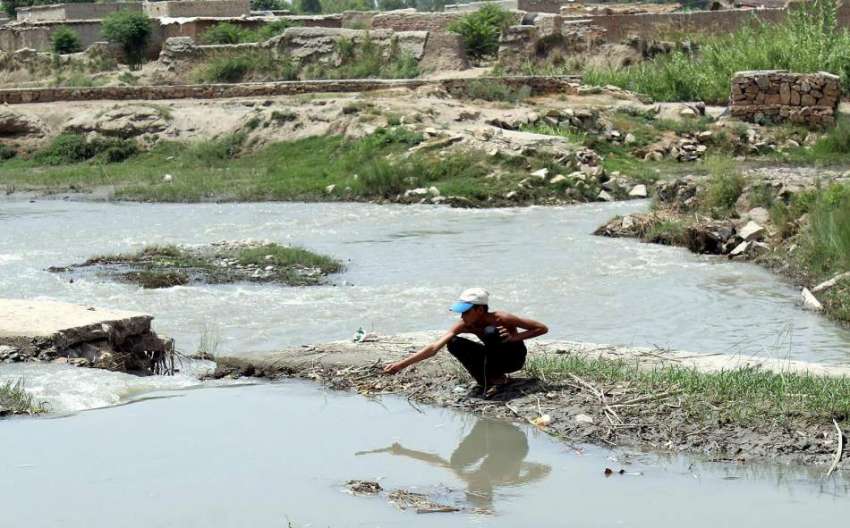پشاور: ایک بچہ مچھلی پکڑنے کی کوشش کر رہا ہے۔