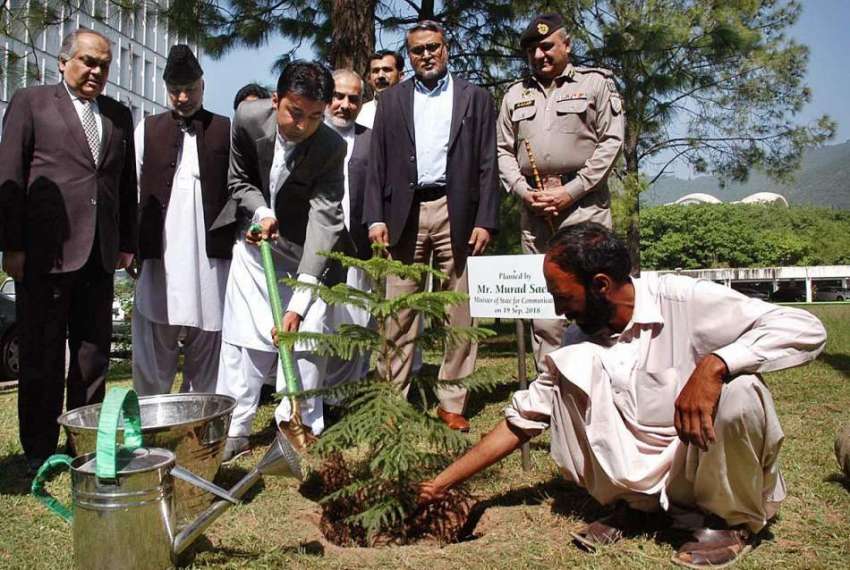 اسلام آباد: وزیر مملکت مراد سعید منسٹری آف کمیونیکیشن کے ..