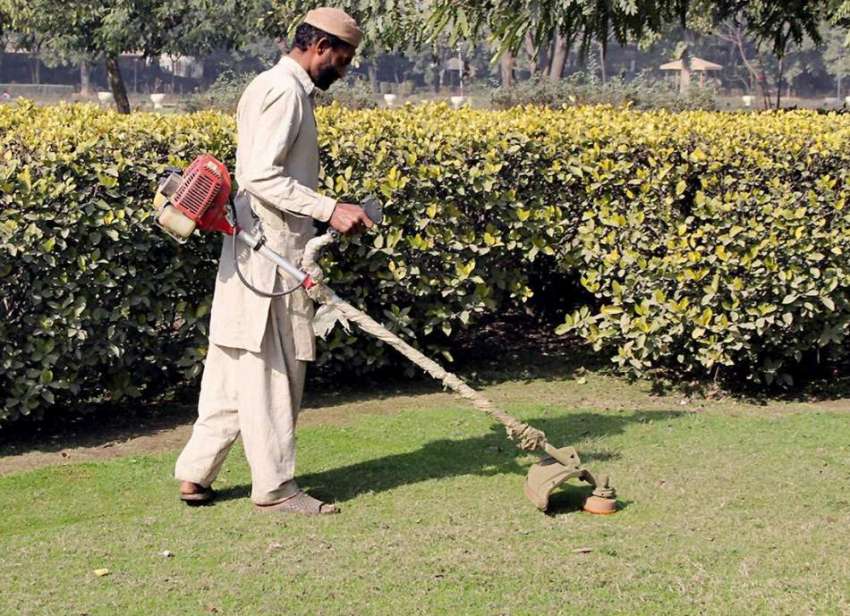 لاہور: جیلانی پارک میں پی ایچ اے کا ملازم کام میں مصروف ہے۔