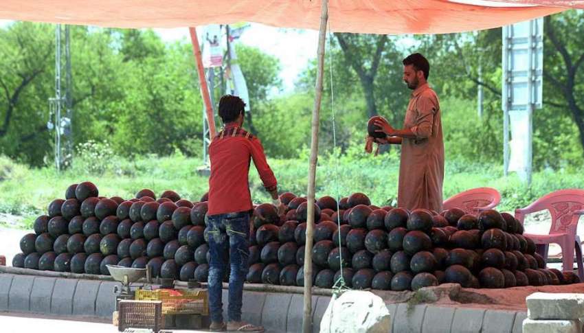 راولپنڈی: دکاندار نے گاہکوں کو متوجہ کرنے کے لیے تربوز سجا ..