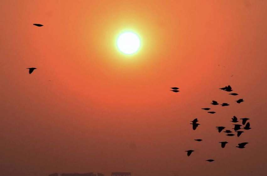 حیدرآباد: شہر میں غروب آفتاب کا دلکش نظارہ۔
