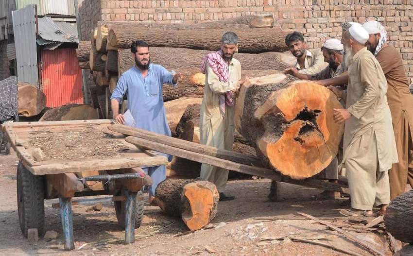 راولپنڈی: ٹمبر مارکیٹ میں مزدور بھاری لکڑی گودام میں منتقل ..