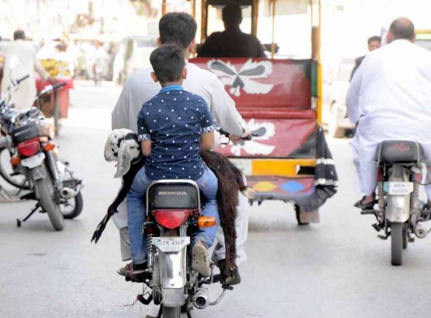راولپنڈی: شہری موٹر سائیکل پر بکری لئے رواں ہے۔