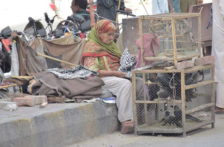لاہور: پابندی کے باوجود ایک خاتون داتا دربار کے باہر پرندے ..