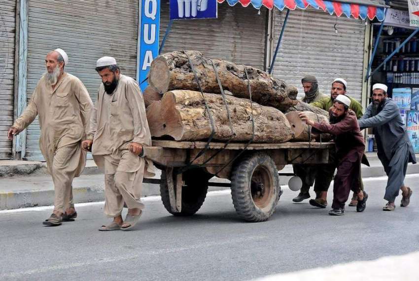 راولپنڈی: مزدور ریڑھے پر بھاری لکڑی لادھے دھکا لگا رہے ہیں۔