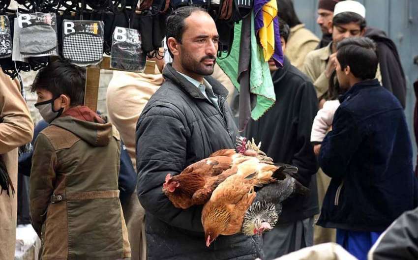 پشاور: دکاندار دیسی مرغیاں فروخت کر رہا ہے۔