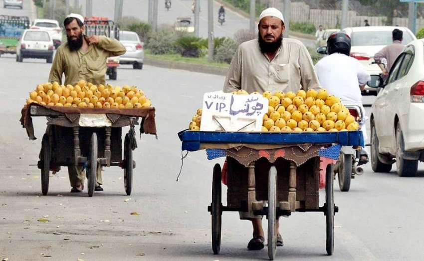 راولپنڈی: ریڑھی بان پھیری لگا کر آم فروخت کر رہے ہیں۔