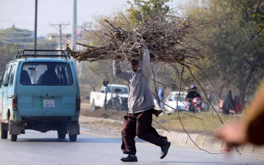 راولپنڈی: نوجوان خشک لکڑیاں اٹھائے سڑک کراس کررہا ہے۔
