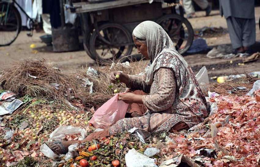 فیصل آباد:خانہ بدوش خاتون سبزی منڈی میں کچرے کے ڈھیر سے کار ..