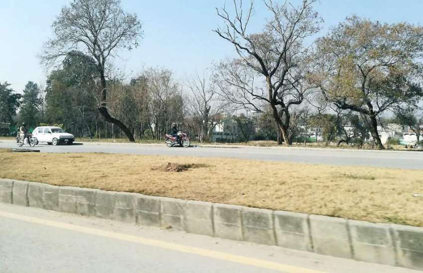 اسلام آباد: وفاقی دارالحکومت میں سیکٹر جی سیون میں درختوں ..