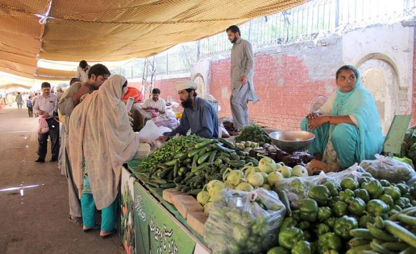 لاہور: شادمان سستے رمضان بازار میں ایک محنت کش خاتون سبزیوں ..