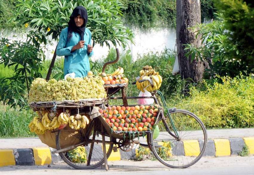 راولپنڈی: محنت کش سائیکل پرفروٹ سجاۓ گا ہکوں کا انتظار کر ..
