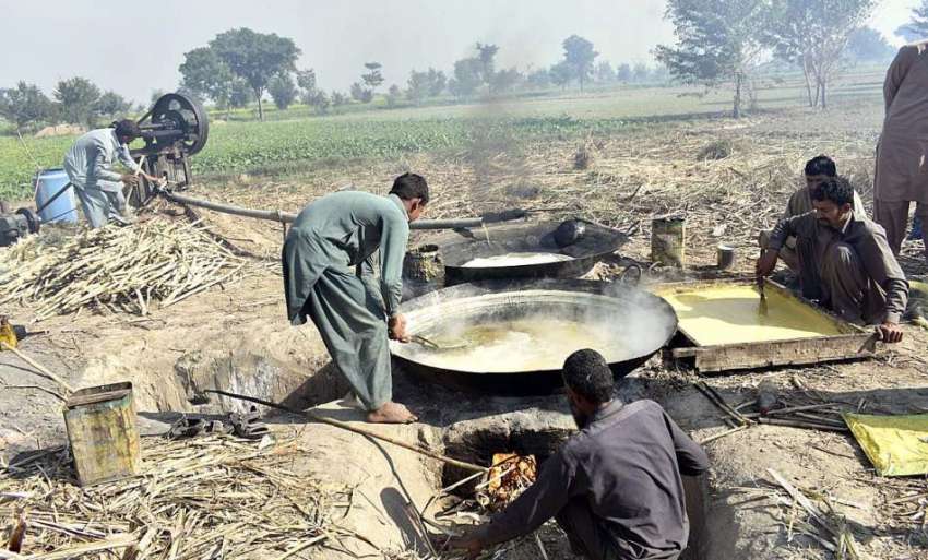 فیصل آباد: کاشتکار اپنے کھیت میں روایتی انداز میں گڑ بنا ..