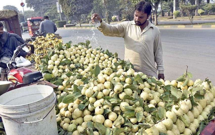 فیصل آباد: ایک دکاندار اپنے سڑک کے کنارے   امرود تازہ رکھنے ..