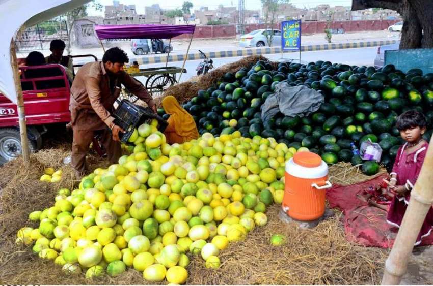 حیدر آباد: دکاندار گاہکوں کو متوجہ کرنے کے لیے خربوزے سجا ..