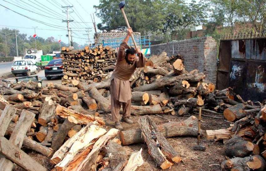فیصل آباد: مزدور ٹال پر لکڑیاں کاٹنے میں مصروف ہے۔
