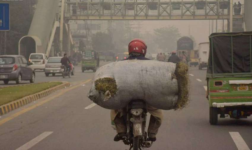لاہور: ایک شخص موٹر سائیکل پر چارے کا بورا رکھ کر لے جارہا ..