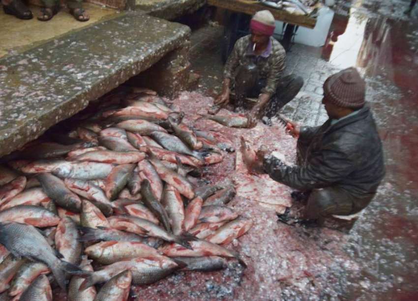 لاہور: کاریگر مچھلی منڈی میں مچھلی کی صفائی میں مصروف ہیں۔
